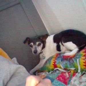 Meet your Posher, Haylee